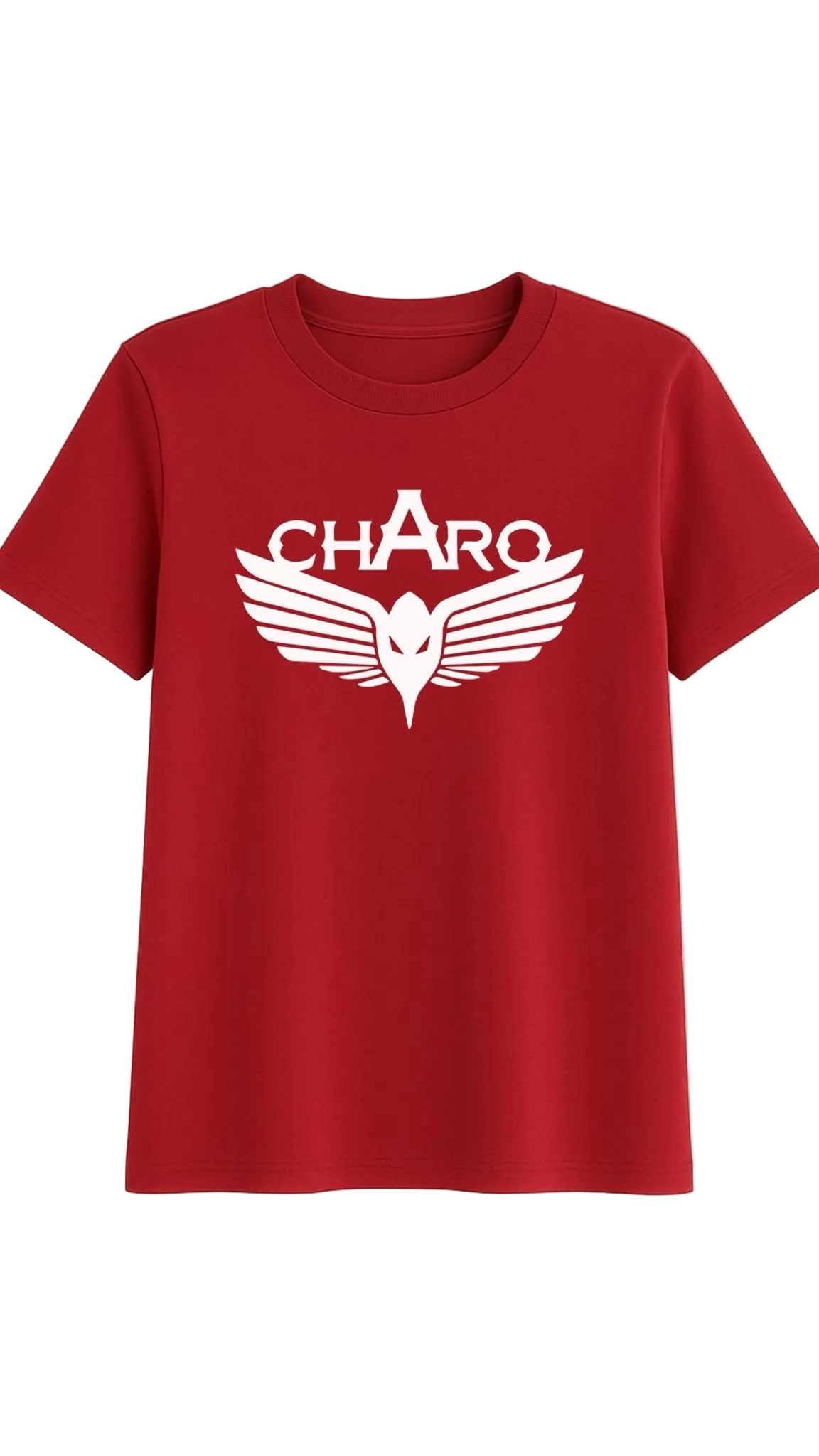 Teeshirt homme charo